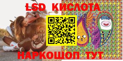 apvp Камышлов