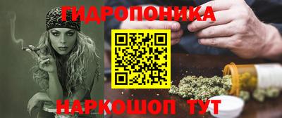 apvp Камышлов