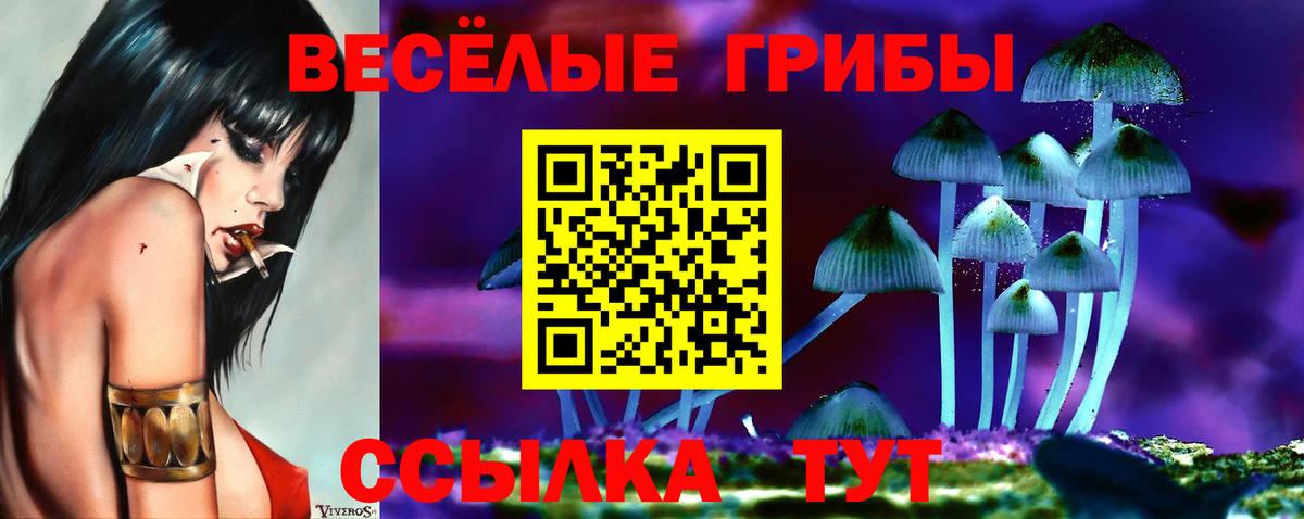 Псилоцибиновые грибы MAGIC MUSHROOMS  купить наркотик  Улан-Удэ  Вход с VPN 