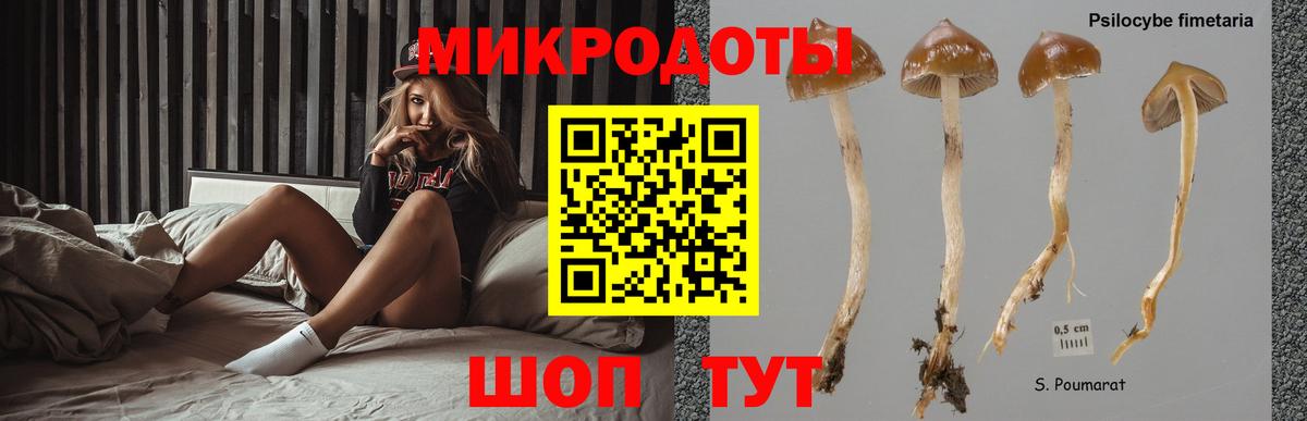 Псилоцибиновые грибы мухоморы Улан-Удэ